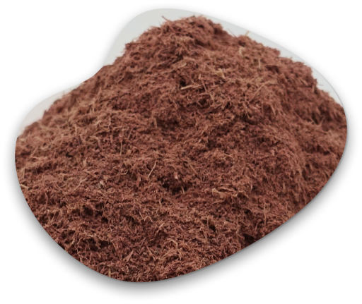 Mimosa Hostilis Root Bark 10kg