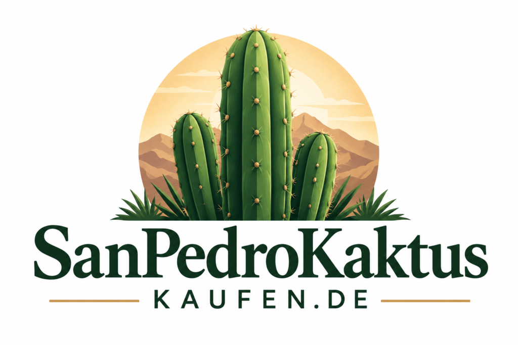 Sanpedrokaktuskaufen